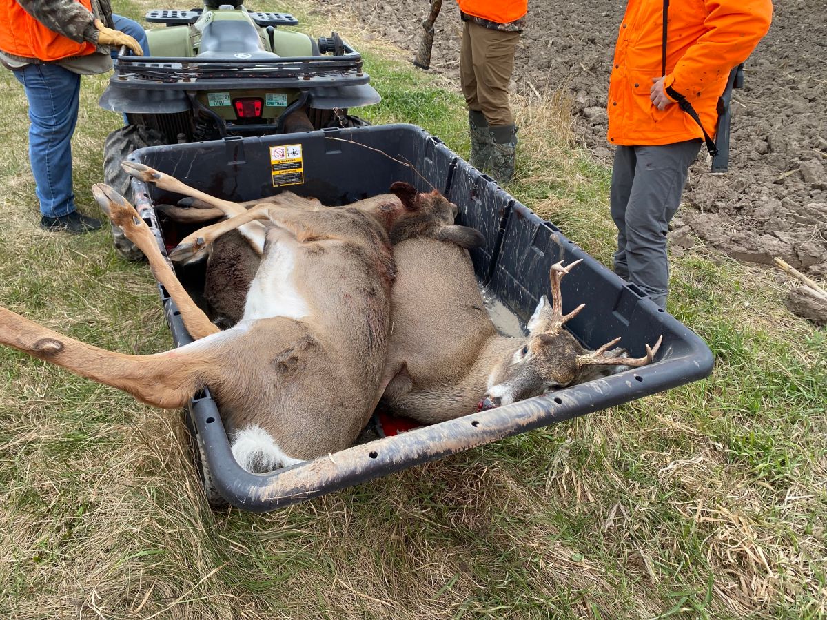Why you should test your deer for CWD