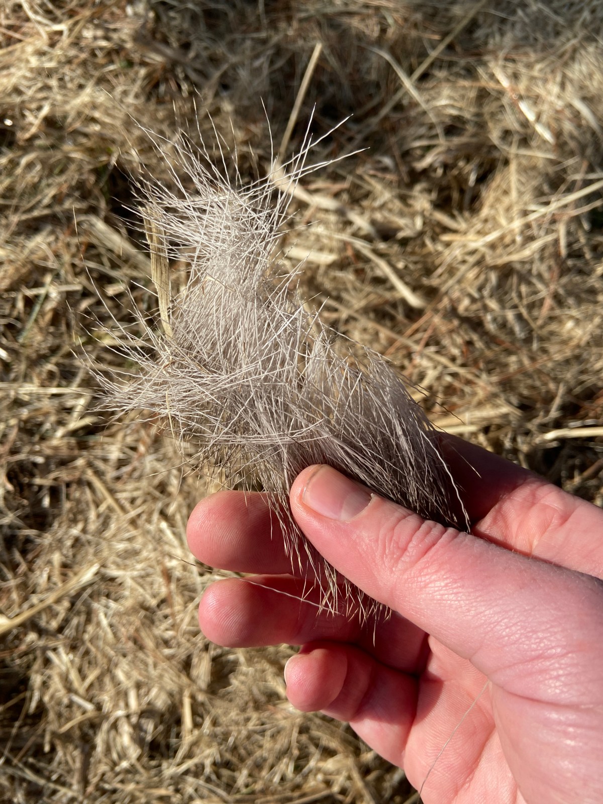 Why you should shed hunt (even if you suck at&nbsp;it)