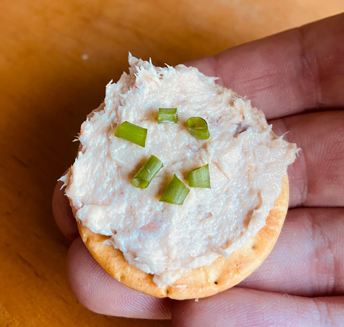 Smoked Salmon Dip&nbsp;Recipe