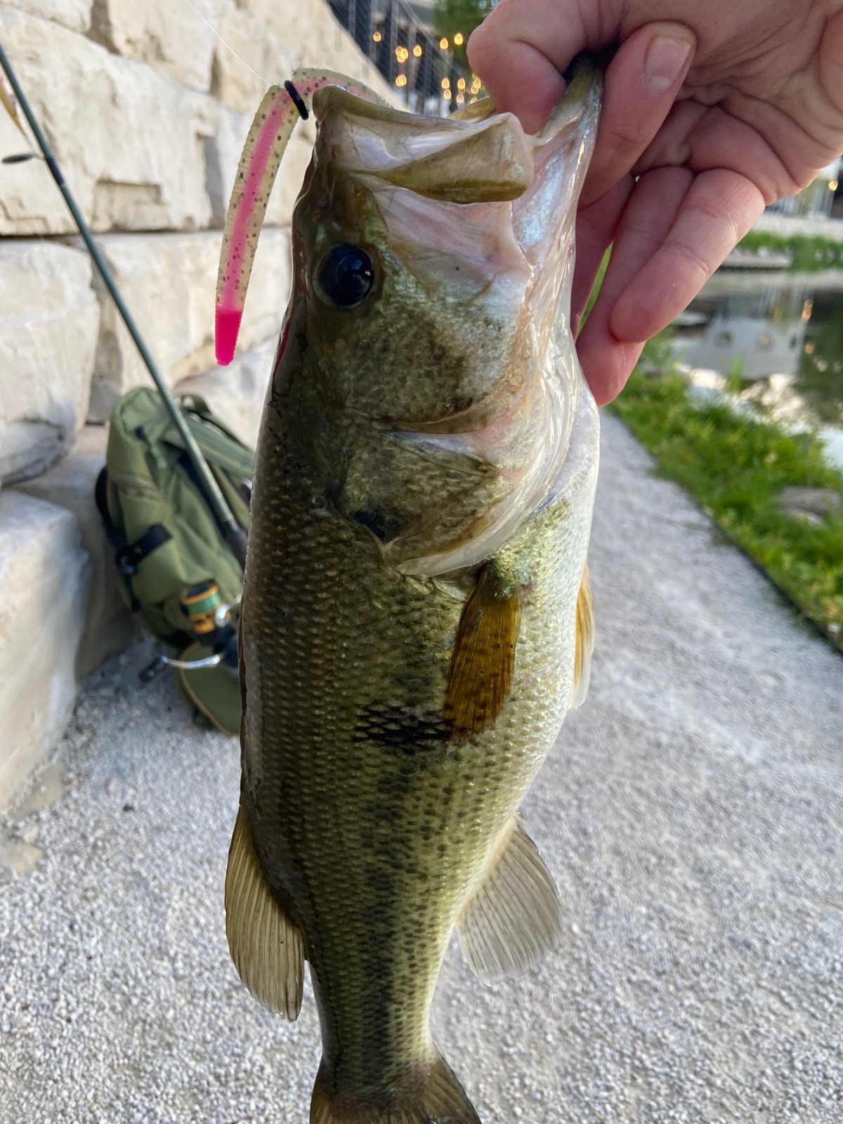 BIGG Mouth Fishing Stick Bait&nbsp;Review