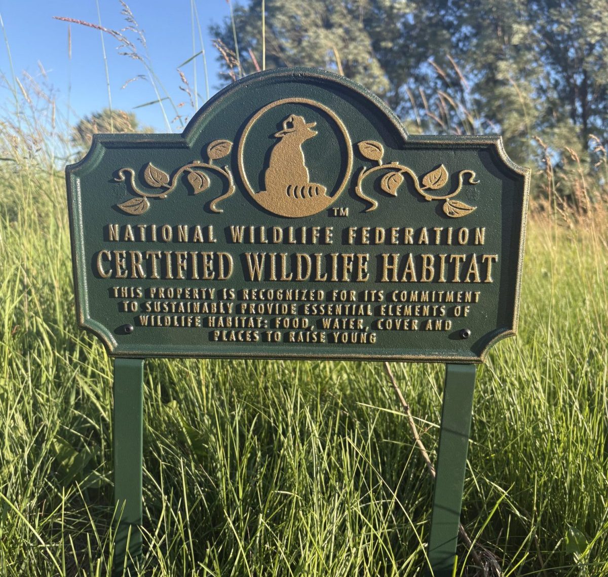 How to make your yard more friendly for&nbsp;wildlife